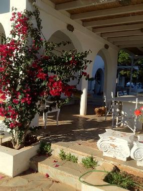 Villa /en/au NEA MAKRI (Attiki)ou appartement ou maison de vacances