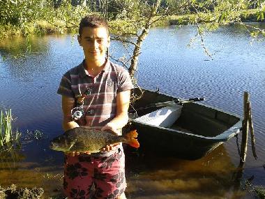 Chalet /en/au Roumgoux (Cantal)ou appartement ou maison de vacances