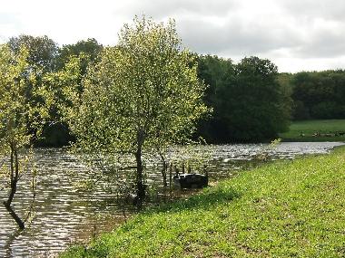Chalet /en/au Roumgoux (Cantal)ou appartement ou maison de vacances