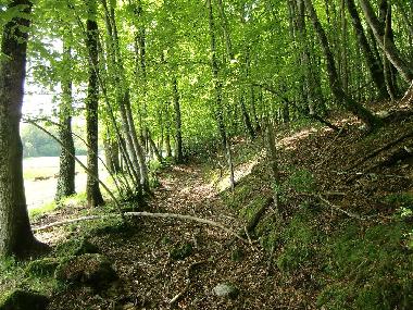 Chalet /en/au Roumgoux (Cantal)ou appartement ou maison de vacances