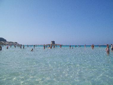 Maison de vacances /en/au Stintino (Sassari)ou appartement ou maison de vacances