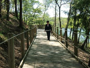 Chalet /en/au Roumgoux (Cantal)ou appartement ou maison de vacances