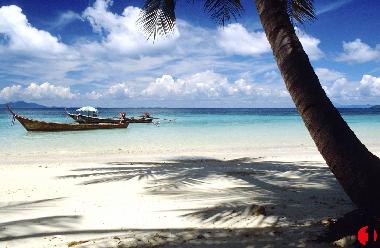 Appartement de vacances �/en/au Santa Maria (Sal)ou appartement ou maison de vacances