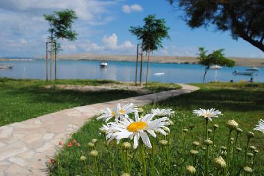 Appartement de vacances /en/au Dinjiska (Zadarska)ou appartement ou maison de vacances