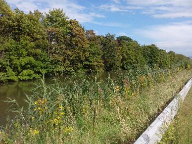 Maison de vacances /en/au Gent (Flandre)ou appartement ou maison de vacances