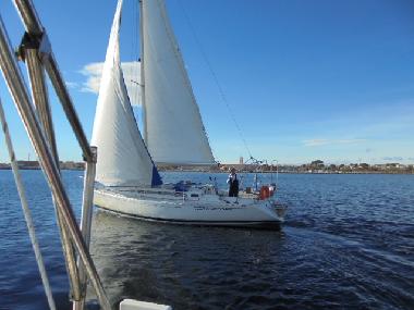 Maison de vacances /en/au Marseillan (Hrault)ou appartement ou maison de vacances