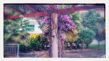 Appartement de vacances �/en/au SantaMaria (Sal)ou appartement ou maison de vacances