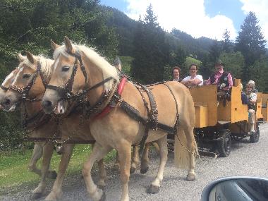 Appartement de vacances /en/au Wildschnau (Tiroler Unterland)ou appartement ou maison de vacances