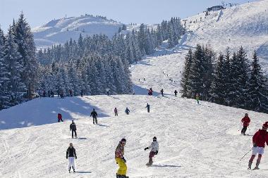 Appartement de vacances /en/au Wildschnau (Tiroler Unterland)ou appartement ou maison de vacances