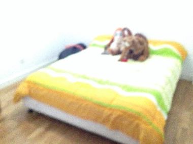 Appartement de vacances �/en/au Hostalric (Girona)ou appartement ou maison de vacances