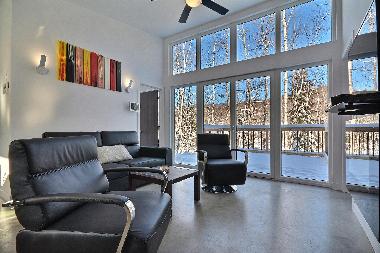 Chalet �/en/au la conception (Quebec)ou appartement ou maison de vacances