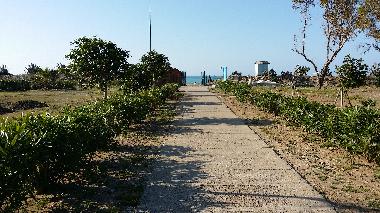 Maison de vacances �/en/au Campofelice di Roccella (Palermo)ou appartement ou maison de vacances