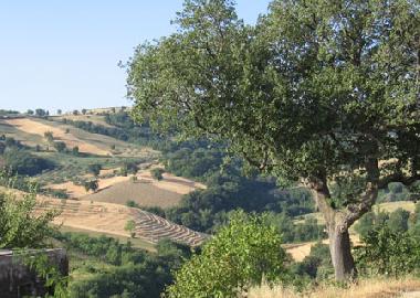 Appartement de vacances /en/au Montebello di Bertona (Pescara)ou appartement ou maison de vacances