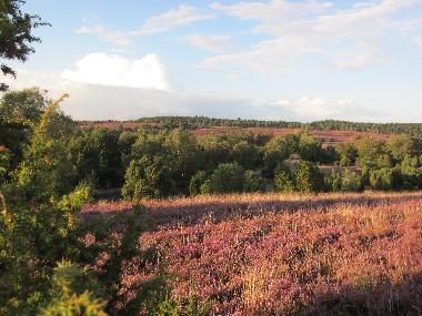Maison de vacances /en/au bispingen (Lneburger Heide)ou appartement ou maison de vacances