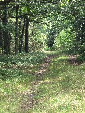 Maison de vacances /en/au bispingen (Lneburger Heide)ou appartement ou maison de vacances
