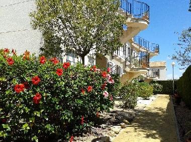 Appartement de vacances /en/au Orihuela Costa (Alicante / Alacant)ou appartement ou maison de vacances