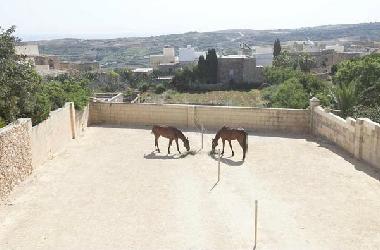 Villa /en/au Xaghra (Gozo)ou appartement ou maison de vacances