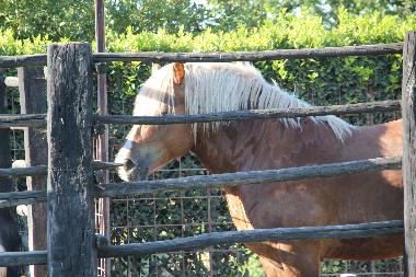 Appartement de vacances /en/au Tarquinia (Viterbo)ou appartement ou maison de vacances