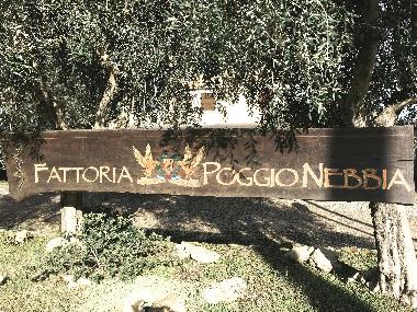 Appartement de vacances /en/au Tarquinia (Viterbo)ou appartement ou maison de vacances