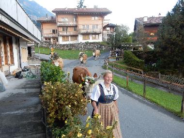 Appartement de vacances �/en/au Wengen (Wengen - Jungfrau)ou appartement ou maison de vacances