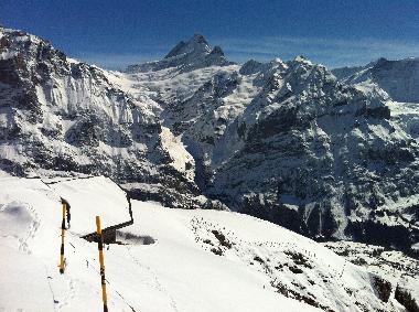 Appartement de vacances �/en/au Wengen (Wengen - Jungfrau)ou appartement ou maison de vacances