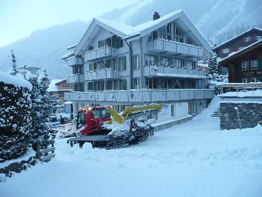 Appartement de vacances �/en/au Wengen (Wengen - Jungfrau)ou appartement ou maison de vacances