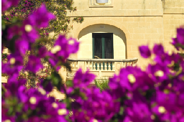 Maison de vacances /en/au Ghasri (Gozo)ou appartement ou maison de vacances