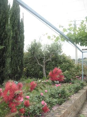 Maison de vacances /en/au Mosciano S.Angelo (Teramo)ou appartement ou maison de vacances