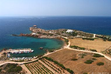 Villa �/en/au Drios (Kyklades)ou appartement ou maison de vacances