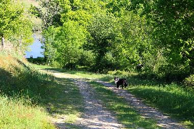 Maison de vacances /en/au Lapeyrouse (Puy-de-Dme)ou appartement ou maison de vacances