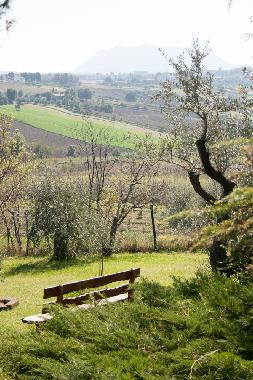 Chambre avec petit djeuner /en/au Rimini (Rimini)ou appartement ou maison de vacances
