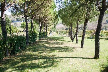 Chambre avec petit djeuner /en/au Rimini (Rimini)ou appartement ou maison de vacances