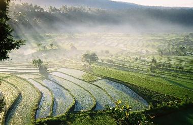 Villa �/en/au Legian  (Bali)ou appartement ou maison de vacances