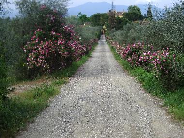 Chambre avec petit djeuner /en/au Scandicci (Firenze) (Firenze)ou appartement ou maison de vacances