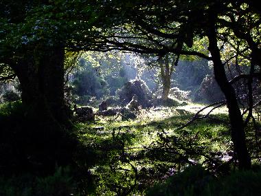Maison de vacances /en/au pigueces (Asturias)ou appartement ou maison de vacances