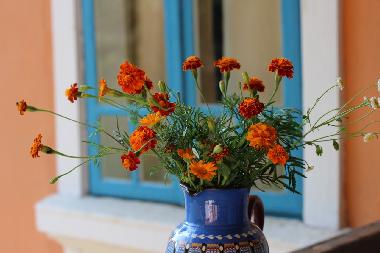 Maison de vacances �/en/au Popovo (Turgovishte)ou appartement ou maison de vacances