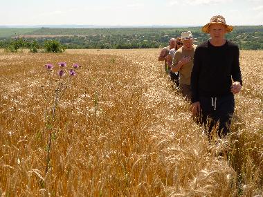 Maison de vacances �/en/au Popovo (Turgovishte)ou appartement ou maison de vacances