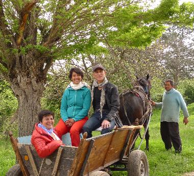 Maison de vacances �/en/au Popovo (Turgovishte)ou appartement ou maison de vacances