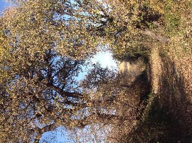 Maison de vacances /en/au Mosciano S.Angelo (Teramo)ou appartement ou maison de vacances