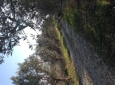 Maison de vacances /en/au Mosciano S.Angelo (Teramo)ou appartement ou maison de vacances