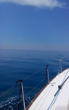 Excursions en bateau