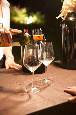 Voyage gastronomique et degustation de vins