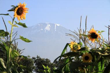 Chambre avec petit d�jeuner �/en/au Moshi (Kilimanjaro)ou appartement ou maison de vacances