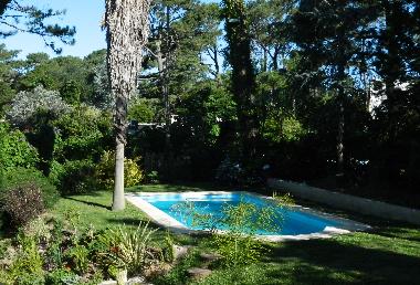 Chambre avec petit d�jeuner �/en/au Punta del Este (Maldonado)ou appartement ou maison de vacances