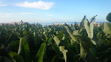 Maison de vacances /en/au Puerto Naos (La Palma und El Hierro)ou appartement ou maison de vacances