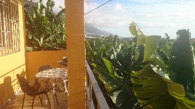 Maison de vacances /en/au Puerto Naos (La Palma und El Hierro)ou appartement ou maison de vacances