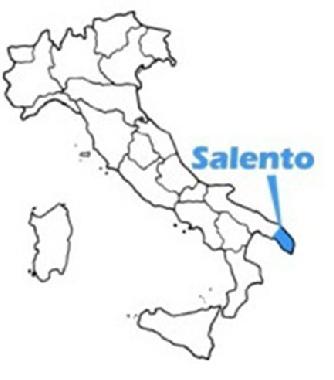 Appartement de vacances �/en/au Gallipoli (Lecce)ou appartement ou maison de vacances