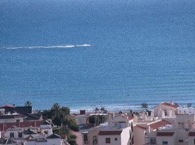 Appartement de vacances �/en/au Torrevieja (Alicante / Alacant)ou appartement ou maison de vacances