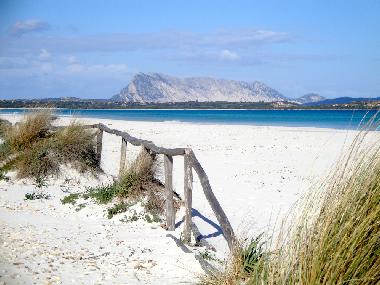 Villa /en/au San Teodoro (Olbia-Tempio)ou appartement ou maison de vacances