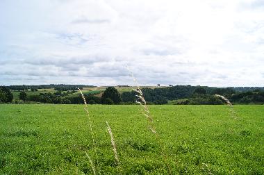Maison de vacances /en/au Walcourt (Wallonia)ou appartement ou maison de vacances